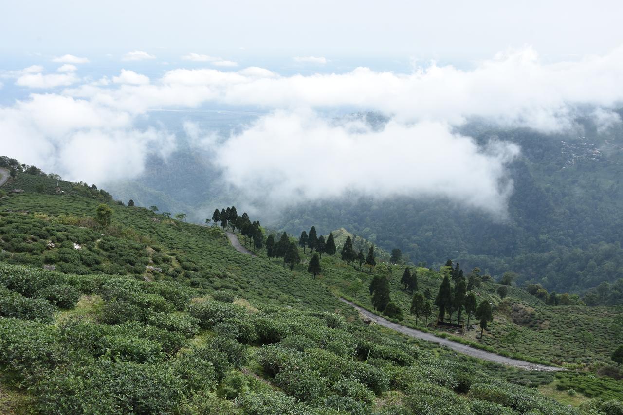 Nirvana Retreat Kurseong Luaran gambar
